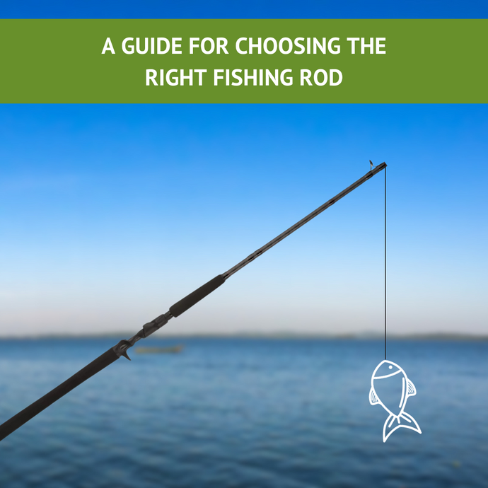 A Guide for Choosing the Right Fishing Rod