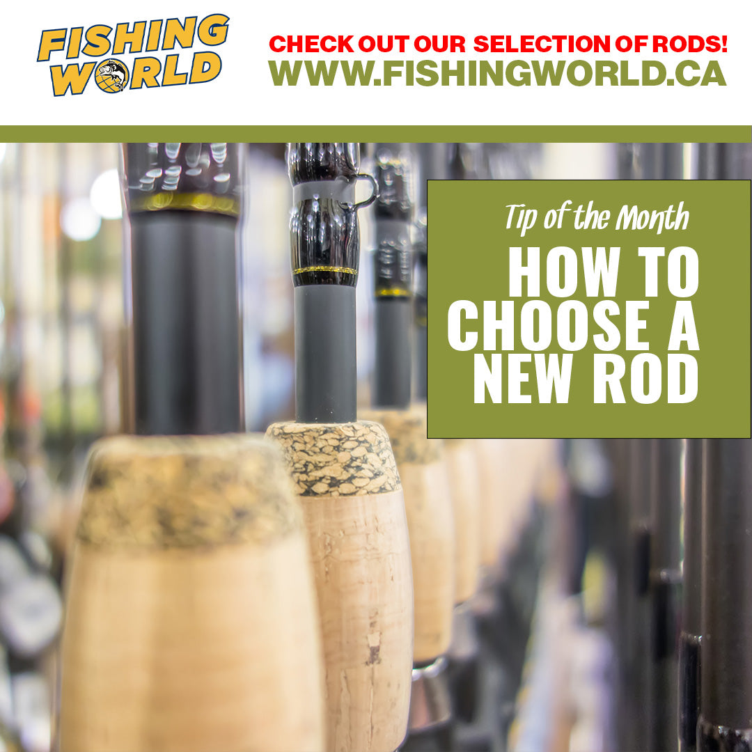 How to Choose a Fishing Rod – Fishing World