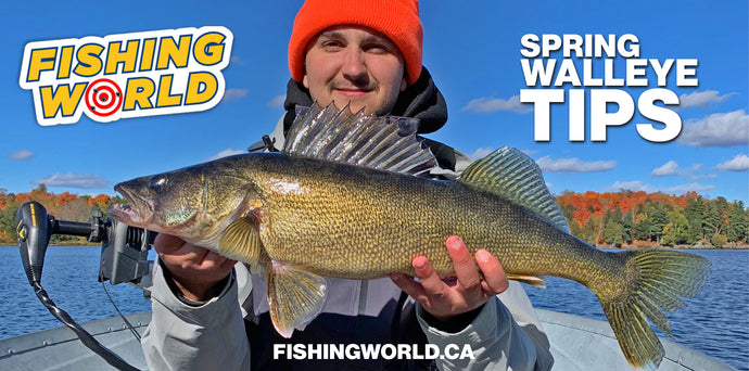Spring Walleye Fishing Tips