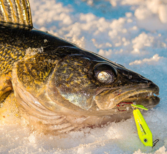 ICE TACKLE