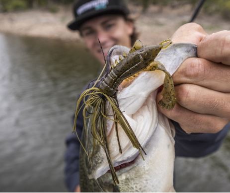 CRAWS/CREATURE