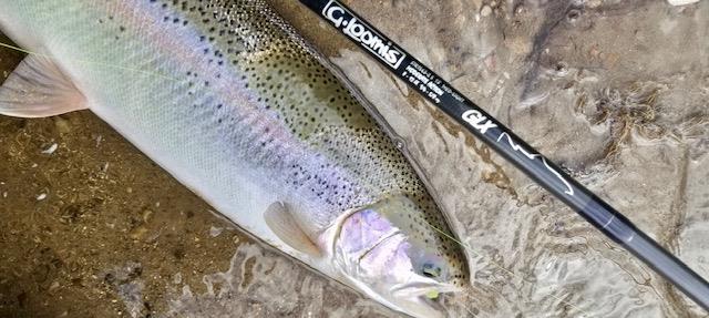 STEELHEAD RODS