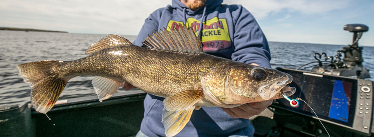 WALLEYE/PERCH JIGS