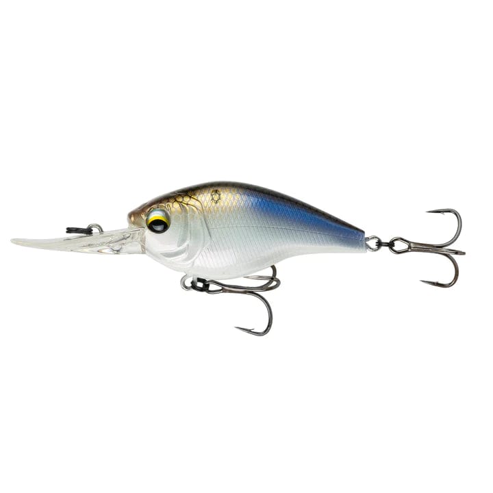 Thump Shad 3/5 Pack of 5 Fishing Lures