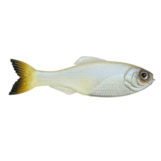 6TH SENSE SWIMBAITS 3.5