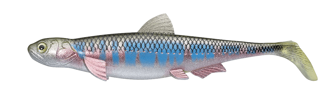 Evergreen Last ACE 140 Swim – Fishing World