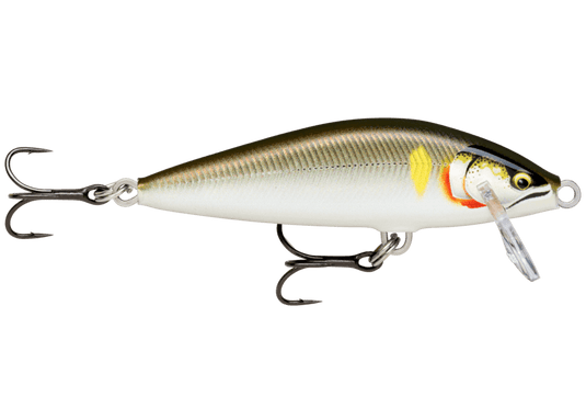 RAPALA JERKBAIT 55 / Gilded Ayu Rapala Countdown Elite 55