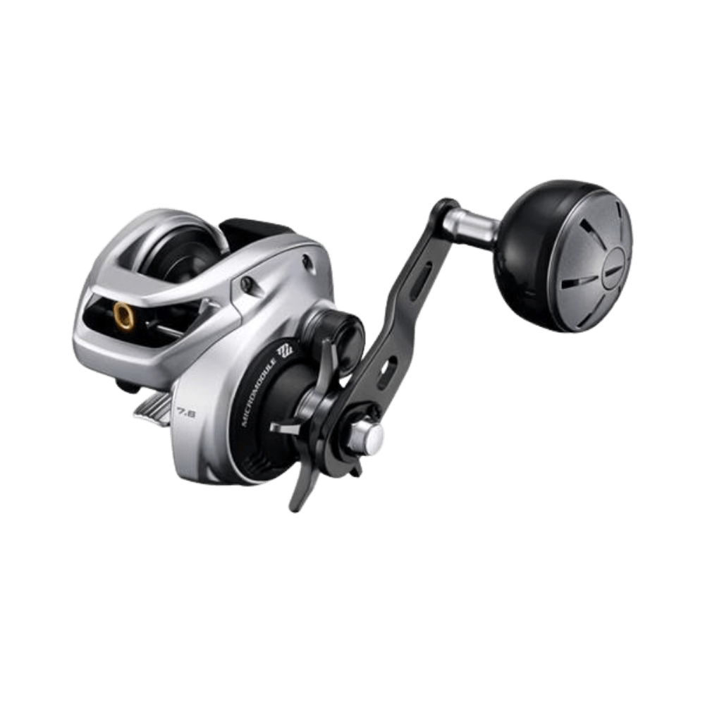 Shimano TranX 301HGB Left Hand - Fishing World