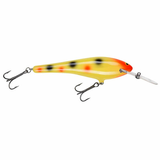 NORTHLAND RUMBLE BEAST Yellow Dots Northland Rumble Beast