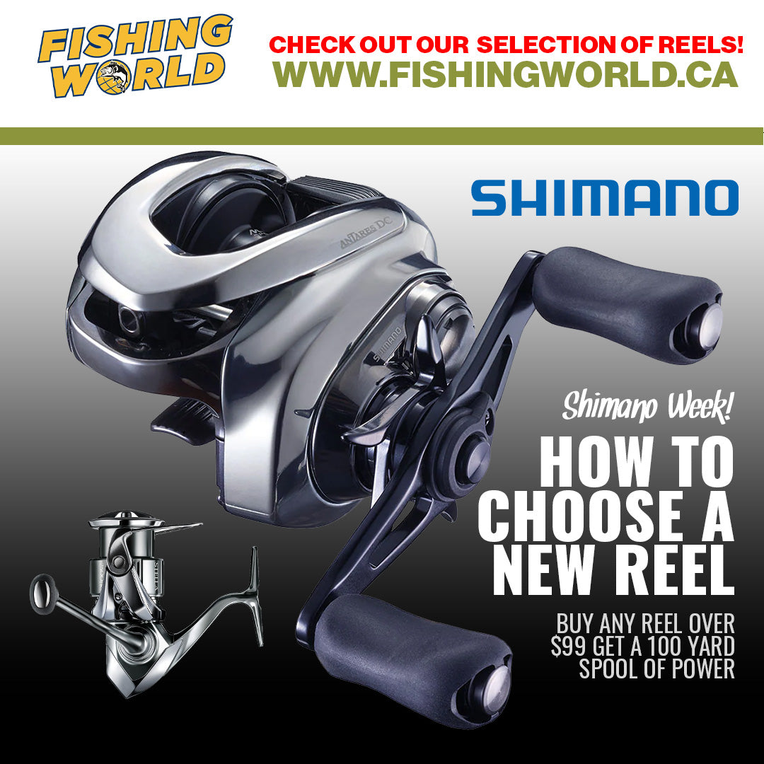 How to Choose a Fishing Reel – Fishing World