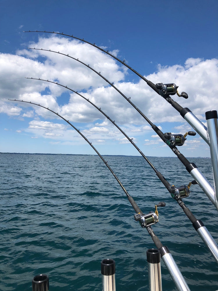 Lake Erie Walleye Collection