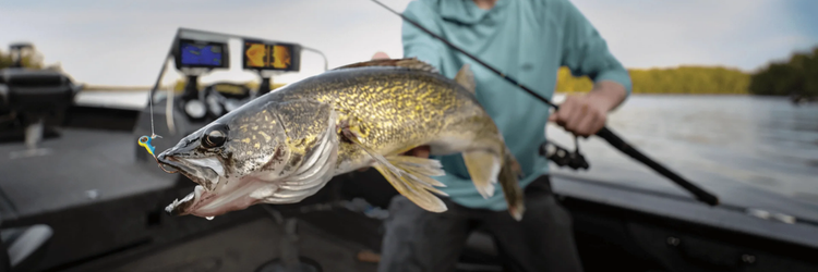 SPRING WALLEYE FAVOURITES