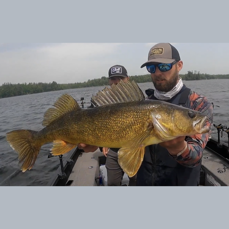 Fall Walleye Favourites