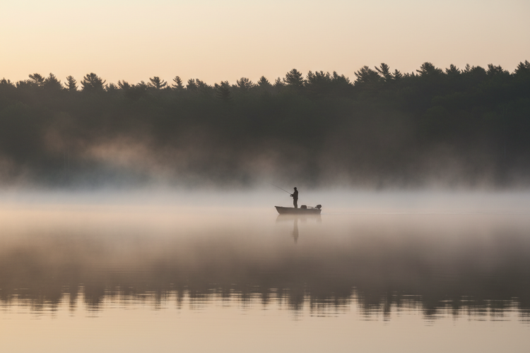 Northland Fishing Tackle - Misty Morning
