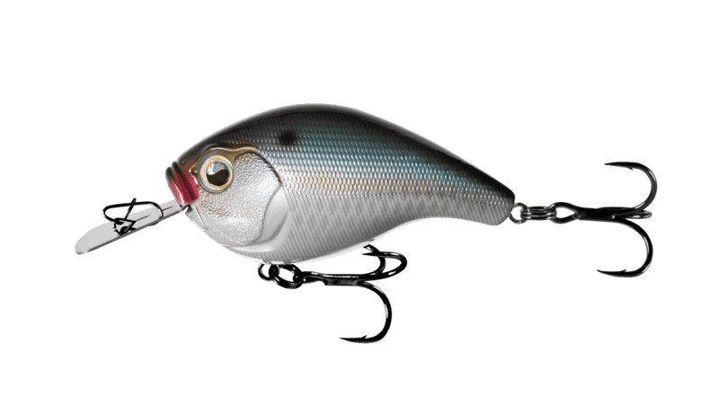 13 Fishing Jabber Jaw Hybrid Squarebill — Discount Tackle