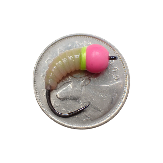 Si Flies Tungsten Simcoe Bug