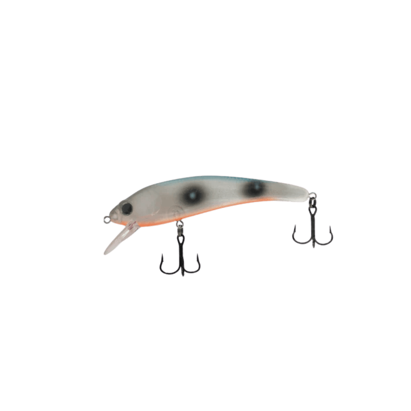 Load image into Gallery viewer, Dead Eye Custom Eye Baby | Colour: Erie Bomber | Fishing World 
