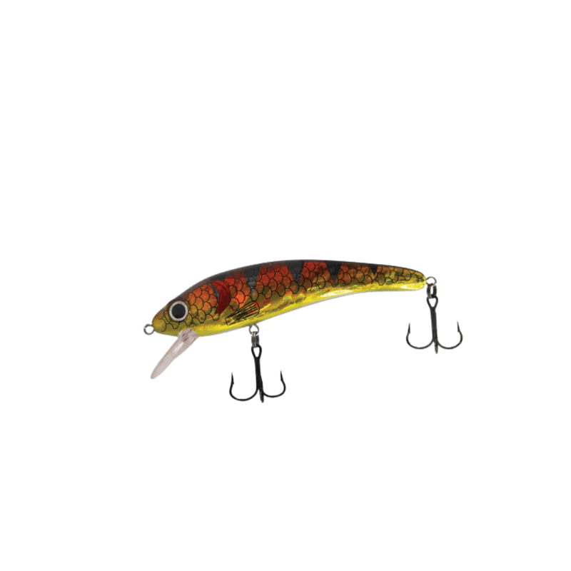 Load image into Gallery viewer, Dead Eye Custom Eye Baby | Colour: Red Perch | Fishing World 
