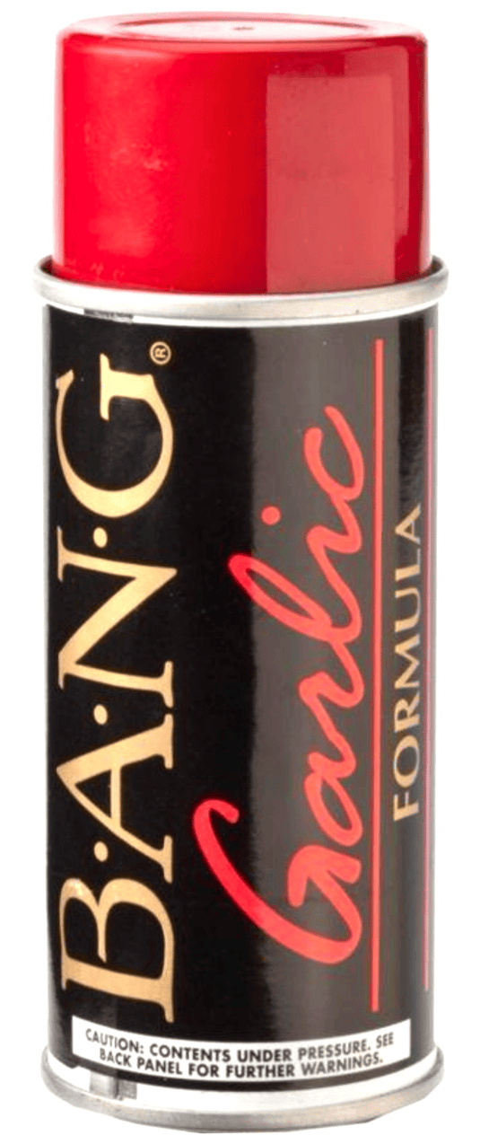 BANG SCENTS Bang Fish Attractant Garlic