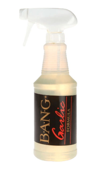 BANG SCENTS BANG Garlic Formula