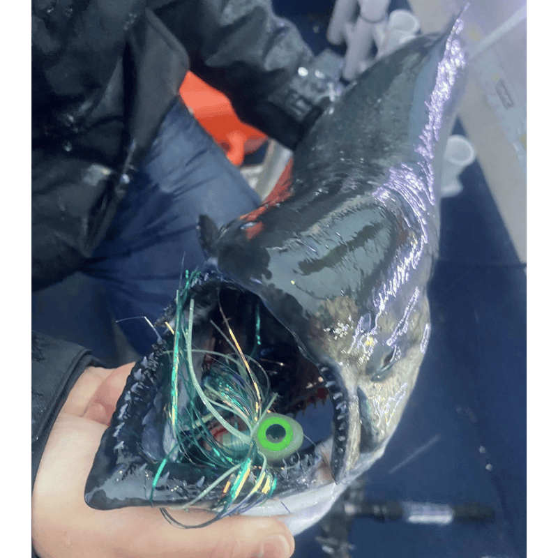 Load image into Gallery viewer, BEAVER'S LURES FLIES Beaver's Lures Big Eyed Trolling Fly
