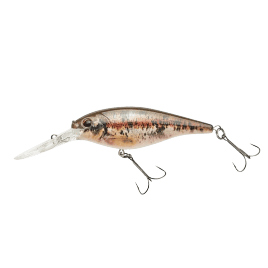 BERKLEY CRANKBAIT 5 / HD Blacknose Dace Berkley Flicker Shad