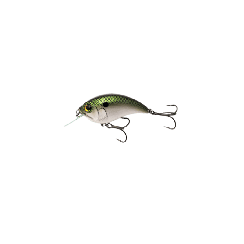 Load image into Gallery viewer, BILL LEWIS CRANKBAIT Tennessee Shad Bill Lewis Squarebill 57 Crankbait
