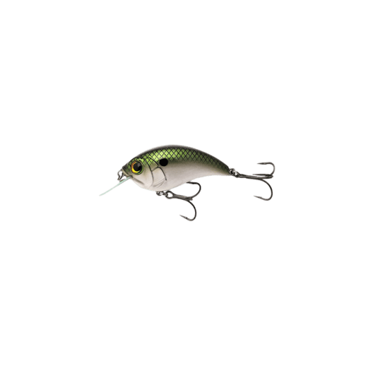 BILL LEWIS CRANKBAIT Tennessee Shad Bill Lewis Squarebill 57 Crankbait