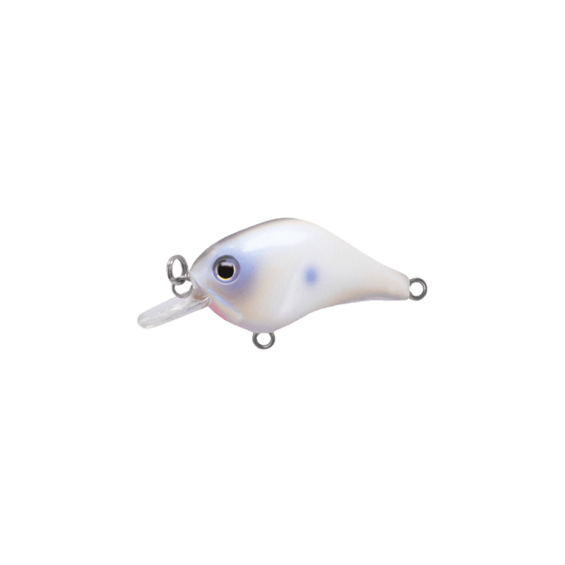 Load image into Gallery viewer, BILL LEWIS PANFISH Oyster Bill Lewis The Gnat | Micro Crankbait
