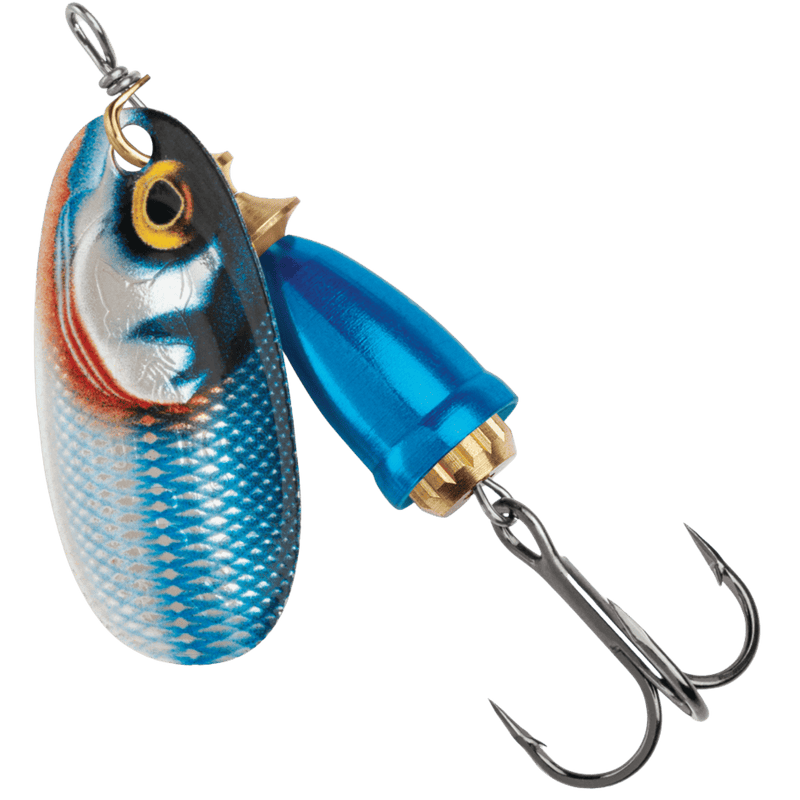 Load image into Gallery viewer, BLUE FOX SPINNERS 2 / Gilded Blue Steel Bluefox Classic Vibrax Gilded Spinner
