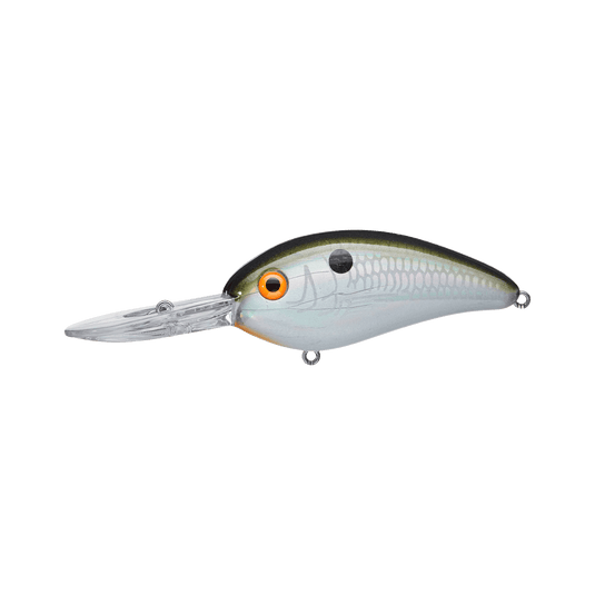 BOMBER CRANKBAIT Tennessee Shad Bomber Fat Free Shad Jr Next Gen