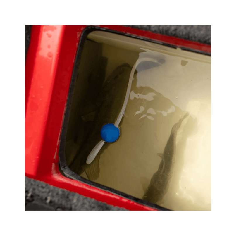 Load image into Gallery viewer, BUBBA WEIGH SCALES Bubba Culling Indicator Set
