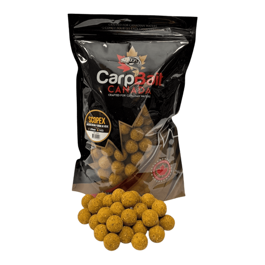 CARPBAIT CANADA CARP/CATFISH 20MM / Scopex Dream Cream CarpBait Canada Boilies