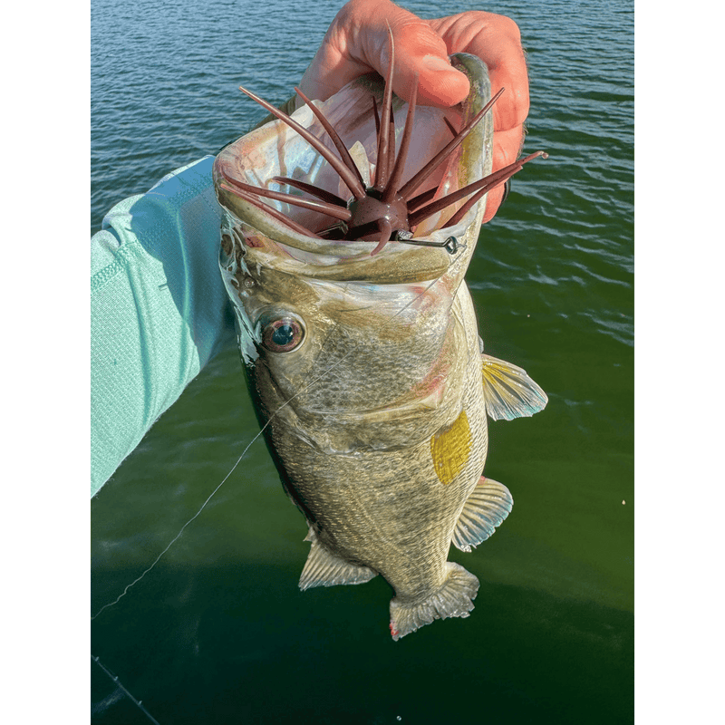 Load image into Gallery viewer, CORE TACKLE URCHIN / DICE BAITS Core Tackle Dice Rig
