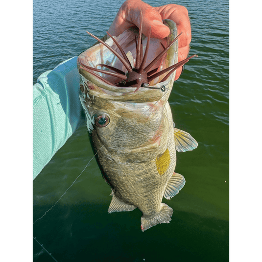 CORE TACKLE URCHIN / DICE BAITS Core Tackle Dice Rig