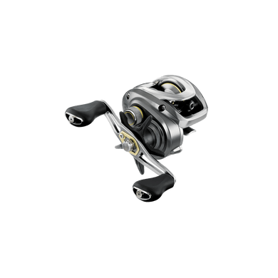 DAIWA CASTING REELS Daiwa AIRD 80 Baitcast Reel