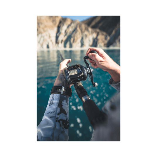 DAIWA CASTING REELS Daiwa Lexa HD 500