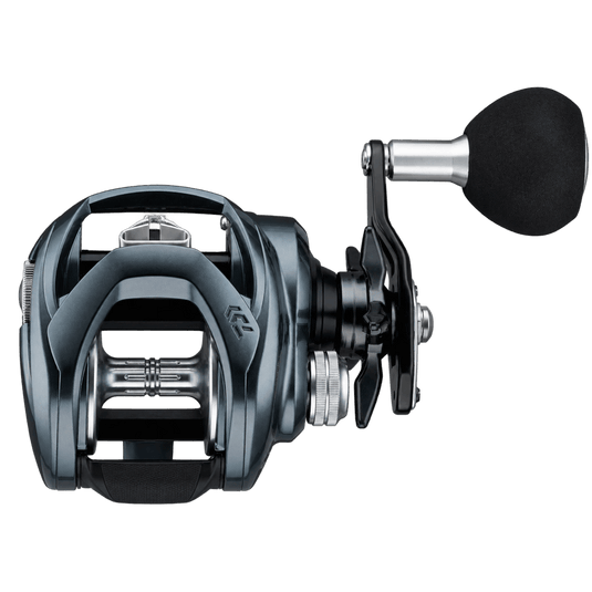 DAIWA CASTING REELS Daiwa Lexa TW Baitcasting Reel