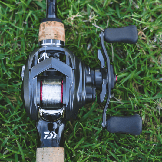 DAIWA CASTING REELS Daiwa Tatula BF 70 Baitcasting Reel