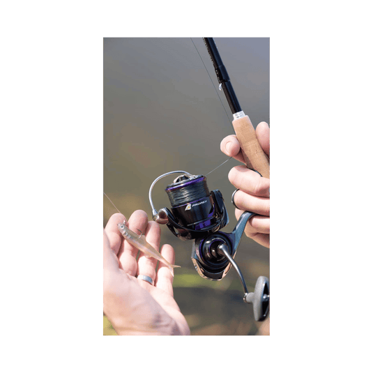 DAIWA SPINNING REELS 2500-XH Daiwa Prorex MQ LT Spinning Reel