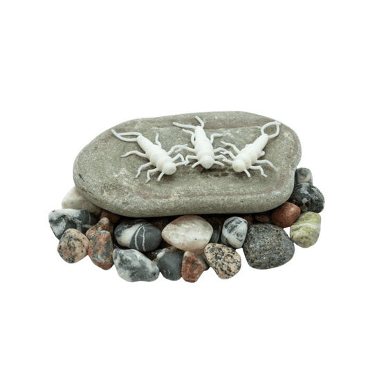 DEATH ROE STEELHEAD GEAR Death Roe Sinister Stonefly