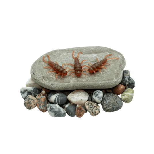 DEATH ROE STEELHEAD GEAR Death Roe Sinister Stonefly