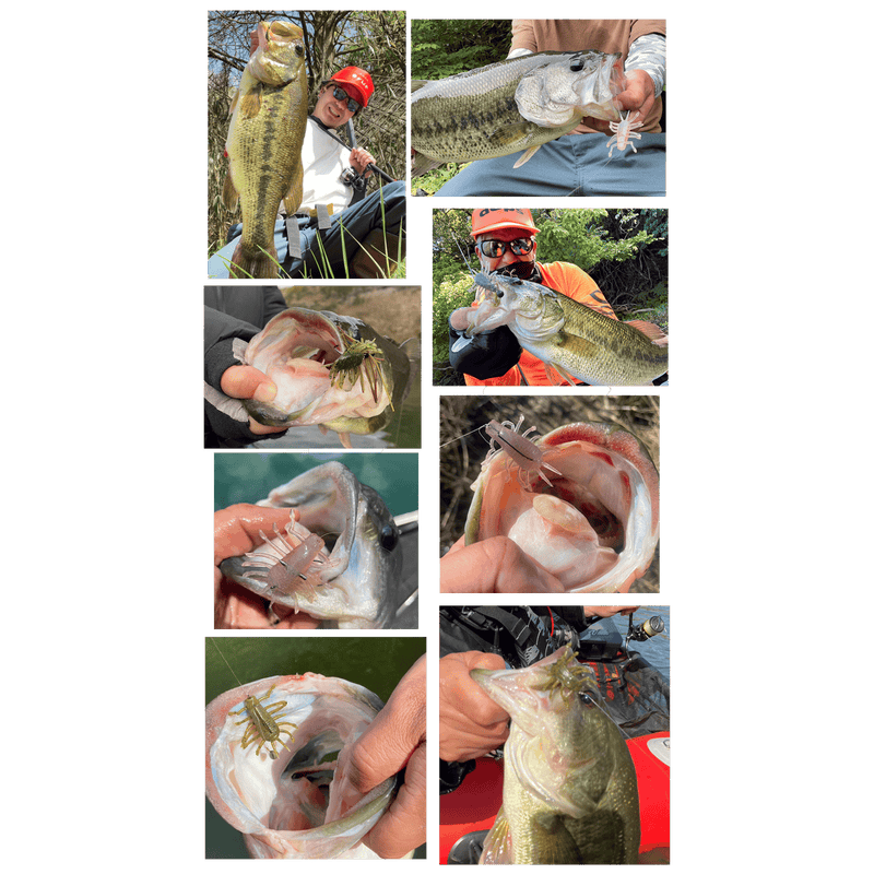 Load image into Gallery viewer, DEPS PANFISH Deps Wiggle Bug
