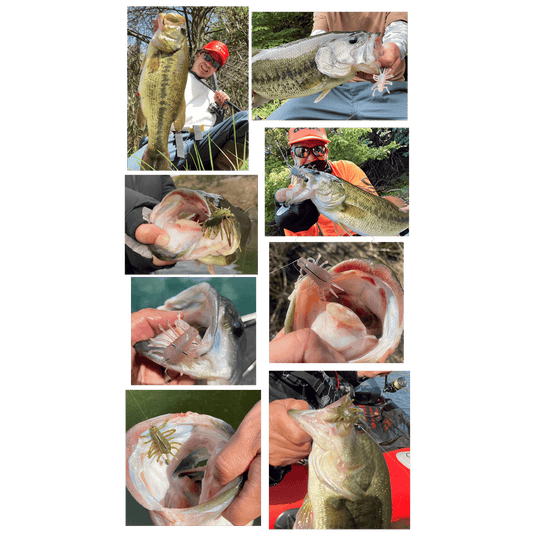 DEPS PANFISH Deps Wiggle Bug