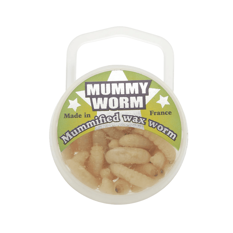 Load image into Gallery viewer, EUROTACKLE ICE JIGS Natural Eurotackle Mummy Worm
