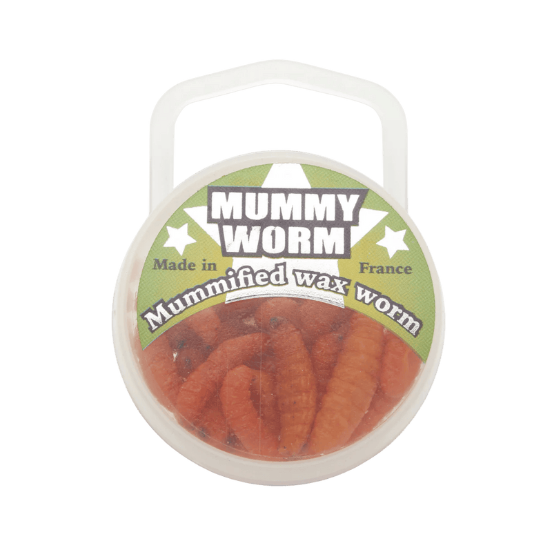 Load image into Gallery viewer, EUROTACKLE ICE JIGS Orange Eurotackle Mummy Worm
