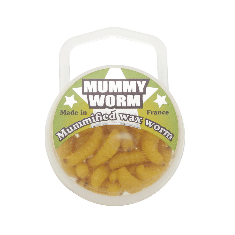 Load image into Gallery viewer, EUROTACKLE ICE JIGS Yellow Eurotackle Mummy Worm
