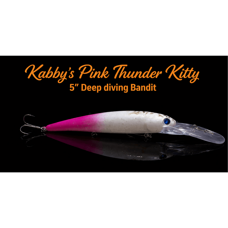 Load image into Gallery viewer, KABBY'S CUSTOM TROLLING BODYBAITS 5" / Pink Thunder Kitty Kabby's Deep Diving Bandit
