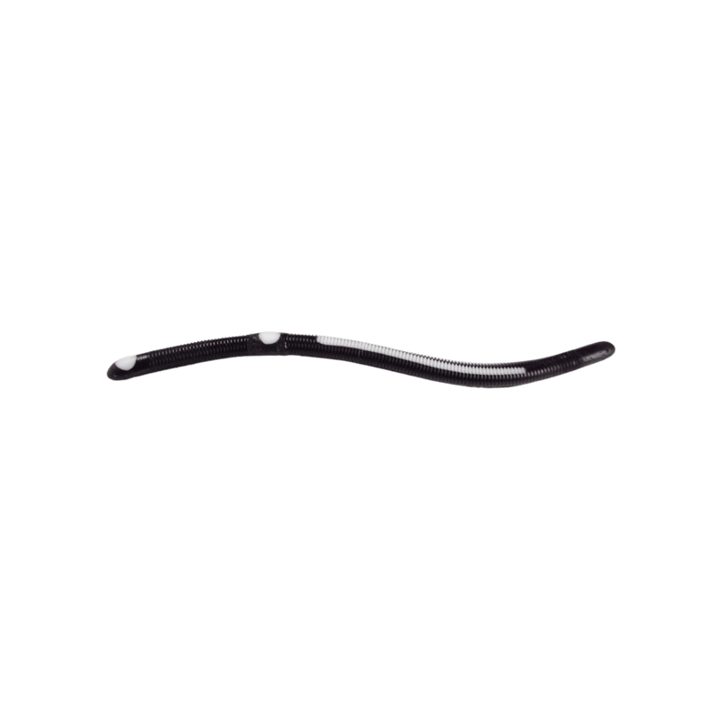 Load image into Gallery viewer, KELLY'S WORMS Black &amp; White Kelly's Bass Worms Striper

