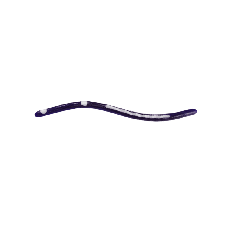 Load image into Gallery viewer, KELLY'S WORMS Purple &amp; White Kelly's Bass Worms Striper

